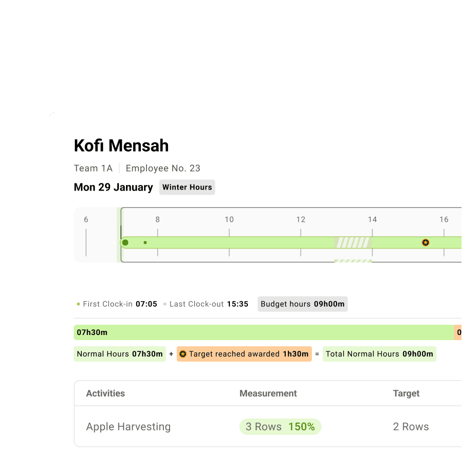 Screenshot of Employee Timeline Working Hours
